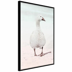 Paris Prix Affiche Murale Encadrée Walking Goose 20 x 30 cm Noir