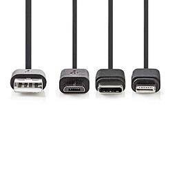 Acheter NEDIS Câble 3 en 1 Multi Type C Micro USB Micro-B mâle Lightning Rapide Charge pour Iphone Samsung Huawei sous licence APPLE.