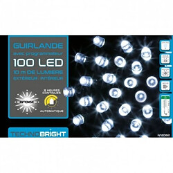 Guirlande extérieure 100 LED Blanc froid - FEERIC CHRISTMAS