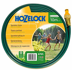 Hozelock Tuyau d'arrosage 10 m