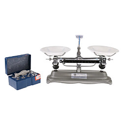 Balance de table de 500 grammes avec poids pour outils de laboratoire