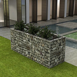 Maison Chic Jardinière,Lit surélevé - Bac à fleurs - pot de fleur à gabion Acier 270x90x100 cm -GKD48962