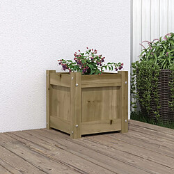 vidaXL Jardinière 31x31x31 cm bois de pin imprégné