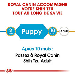 Acheter Royal Canin Race Shih Tzu Junior