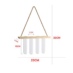 Tubes à Essai En Verre en bois Suspendus Fleur Vase