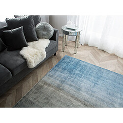 Avis Beliani Tapis gris-bleu 200 x 200 cm ERCIS