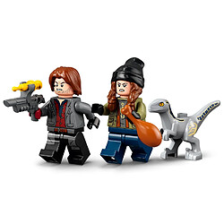 Avis LEGO Jurassic World La capture des Vélociraptors Beta et Blue