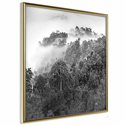 Paris Prix Affiche Murale Encadrée Foggy Forest 20 x 20 cm Or