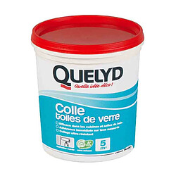 QUELYD - Colle spéciale toile de verre 1 Kg