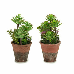 Acheter Ibergarden Plante décorative Succulent Plastique 16 x 23 x 16 cm (12 Unités)