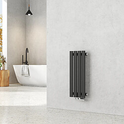 EMKE Radiateur à Eau Chaude, Radiateur Ovale Connexion Centrale, Montage Mural Vertical Design, Noir 60x24cm 177W Seule Couche