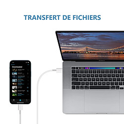 Platyne Cable Usb C Vers Usb C 2 Metres