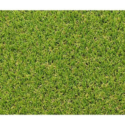 Acheter Gazon synthétique - Exelgreen - Campus 25mm - 1m x 5m