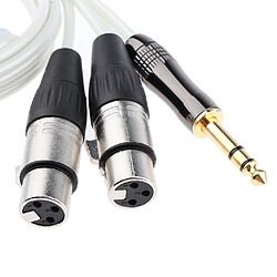 Avis Remplacement du câble audio 6.35mm mâle vers dual xlr femelle pour haut-parleur 150cm