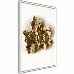 Paris Prix Affiche Murale Encadrée Dried Maple Leaf 20 x 30 cm Blanc