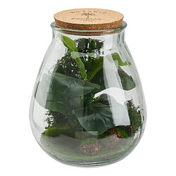 But Botanique terrarium H. 29,5 cm BOTA Vert