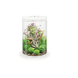 Aquarium décoratif 35l avec cadre blanc - Tube 30 LED white - OASE