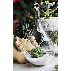 Vase Suspendu en Verre Transparent Conique