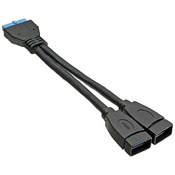 Câble adaptateur InLine® USB 3.0 interne 2x USB Une tête femelle à la carte mère