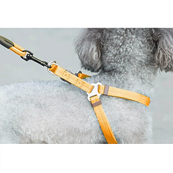 Wewoo Pour chien + Harnais + Orange Laisse Trois ensembles, M, Tour de poitrine: 43-67cm, Col Taille du col: 33-52cm, Poids de l'animal: 15kg Dessous Collier pas cher