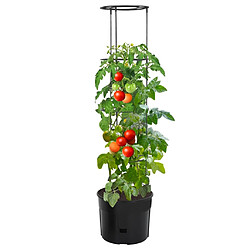 vidaXL Jardinière à tomate Anthracite Ø39x150 cm Polypropylène