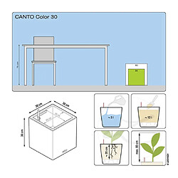 Avis LECHUZA Jardinière CANTO Stone 30 LED Low ALL-IN-ONE 30x30 cm