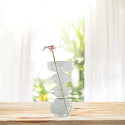 Avis Vase à fleurs porte-bouton de fleur en verre transparent