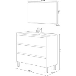 Avis Pegane Meuble de salle de bain de 3 Tiroirs + Miroir coloris alaska chêne nordic -Longueur 100 cm x Hauteur 86 cm x Profondeur 45 cm