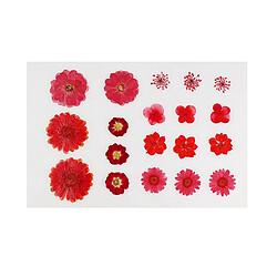 Feuilles De Fleurs Séchées Pressées En Vrac Pour Scrapbooking Bricolage Rouge 19pcs