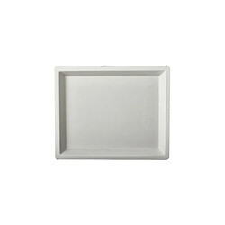 PAPSTAR Assiette en canne à sucre 'pure' rectangle 130x260mm ()