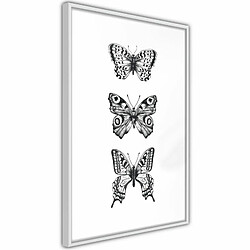 Paris Prix Affiche Murale Encadrée Butterfly Collection III 40 x 60 cm Blanc