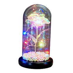 Acheter Galaxy Rose Flowers Forever Rose Lumière LED Colorée Dans Le Style De Dôme En Verre