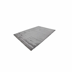 Paris Prix Tapis Tissé Déco Saint Lucia Argent 120 x 170 cm