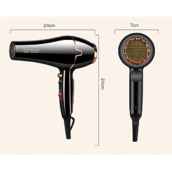 Universal Sèche-cheveux professionnel 2200W Réglage de la vitesse de l'air chaud et froid Sèche-cheveux Salon de modélisation/Outils ménagers Cordon d'alimentation 2,0 m, 220 240V