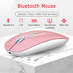 Universal Souris sans fil Souris Bluetooth Souris USB Souris d'ordinateur sans fil veine rechargeable Bluetooth 5.0 Souris ergonomique pour PC portable