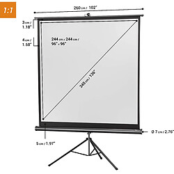 Ecran de projection sur pied celexon Economy 244 x 244 cm