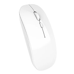 Avis Souris Sans Fil Bluetooth5.0 Double Mode + Mode 2,4 GHz Pour Ordinateur Portable PC Blanc