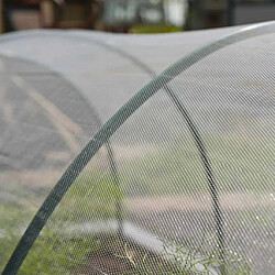 Avis Nature Filet anti-insectes 2x10 m Transparent