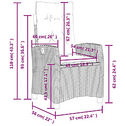 vidaXL Chaises inclinables jardin lot de 2 et coussins résine tressée pas cher