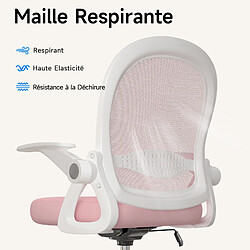 Acheter RATTANTREE Chaise de Bureau avec Accoudoir Relevable, Fauteuil de Bureau avec Soutien Lombaire, Siège Bureau avec Repose-Pieds, Rose