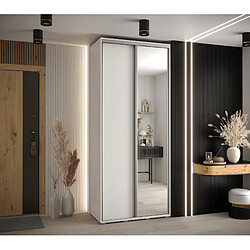 Abiks Meble Armoire à portes coulissantes Davos 3 H235.2 x L100 x P45 2 portes coulissante (Blanc/Blanc/Argent)