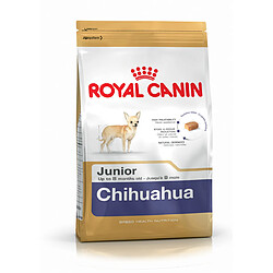 Royal Canin Race Chihuahua Junior