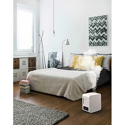 Boneco humidificateur d'air par vaporisation S250 (vaporiseur) pas cher