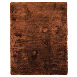 Thedecofactory SAUVAGE - Tapis à poils longs extra-doux marron clair 120x160