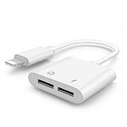 Avis Tech Discount 2 en 1 Adaptateur de Lightning,Double Lightning Casque Chargeur Convertisseur pour Apple iPhone X / 8 Plus / 8 / 7 Plus / 7