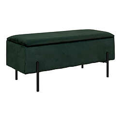 Avis EPIKASA Banc avec Rangement Watford, Vert, Polyester, 36,5x95x46 cm