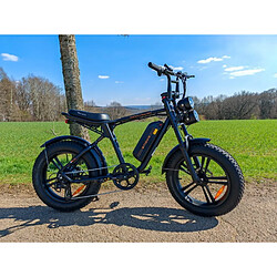 Acheter Vélo électrique ENGWE M20 750W - Autonomie 60KM - Freins à disque