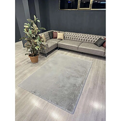 EPIKASA Tapis de Salon Rectangulaire Plush