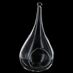 Vase Suspendu en Verre Transparent Conique pas cher