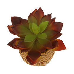 Artificial Succulent Réel Tactile Snow Lotus Feuille Feuillage D'automne Couleur